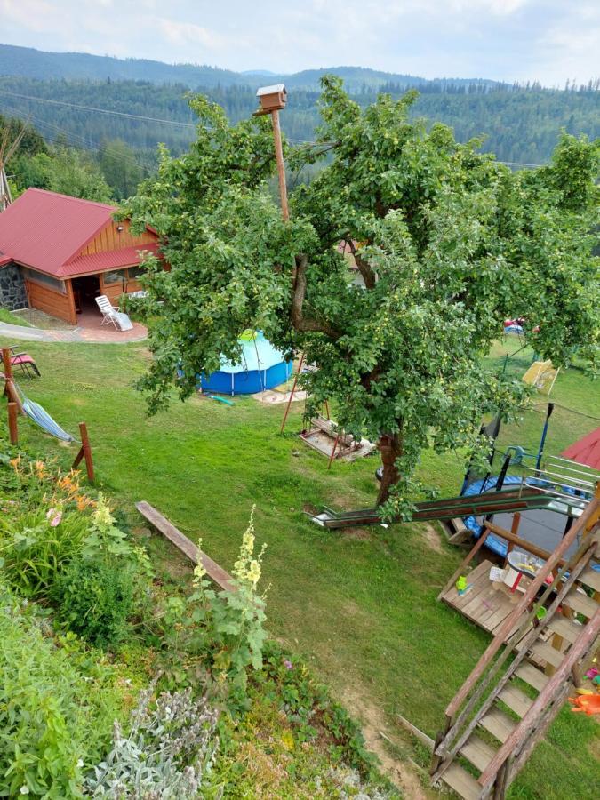 Koniaków Domek Nad Lasem מראה חיצוני תמונה