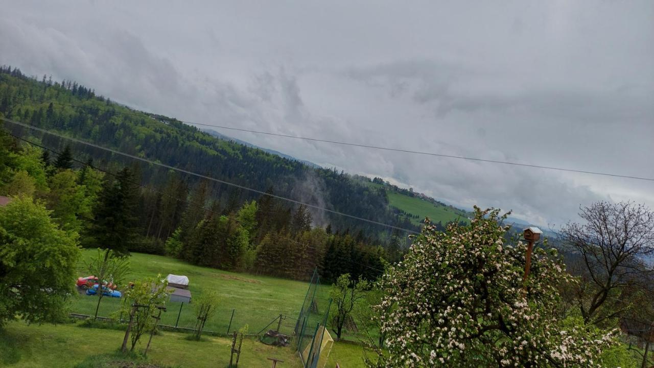 Koniaków Domek Nad Lasem מראה חיצוני תמונה